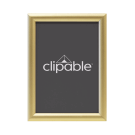 Gold Snap Frame poster display frame