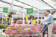 Garden centre sales